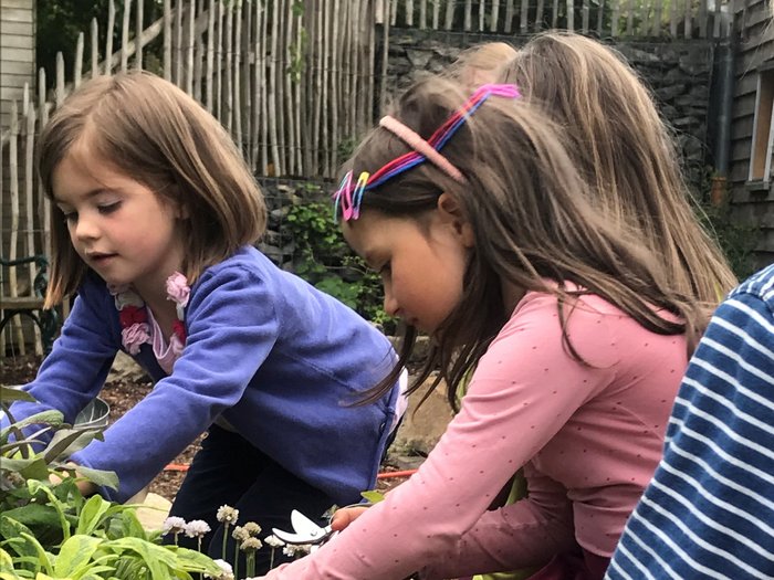 Mehrere Kinder arbeiten gemeinsam in einem Gartenbeet und pflanzen oder pflegen Blumen; sie knien zwischen grünen Blättern und pinkfarbenen Blüten vor einem natürlichen Gartenhintergrund mit Zaun und Steinen.